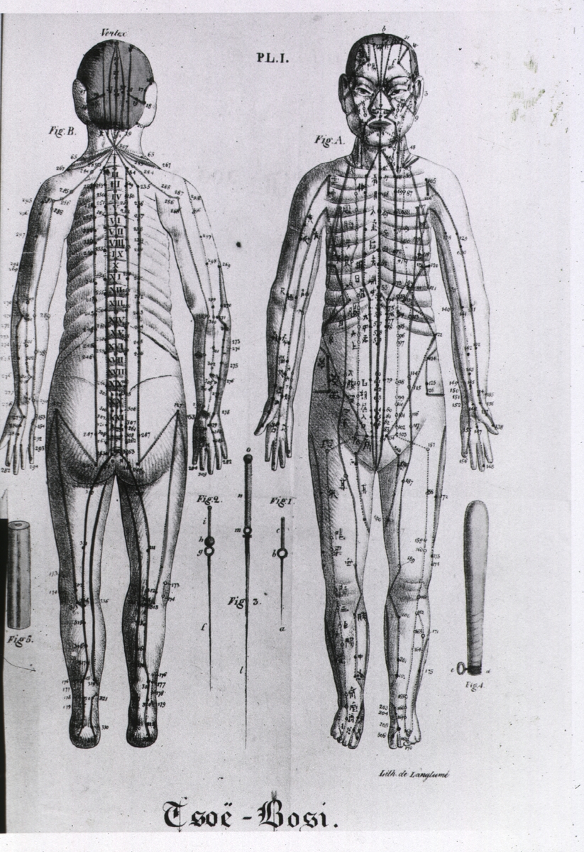 Freitag Homeopathy The Body Disected